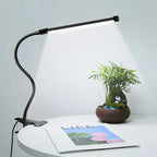 Lampe de bureau LED à pince