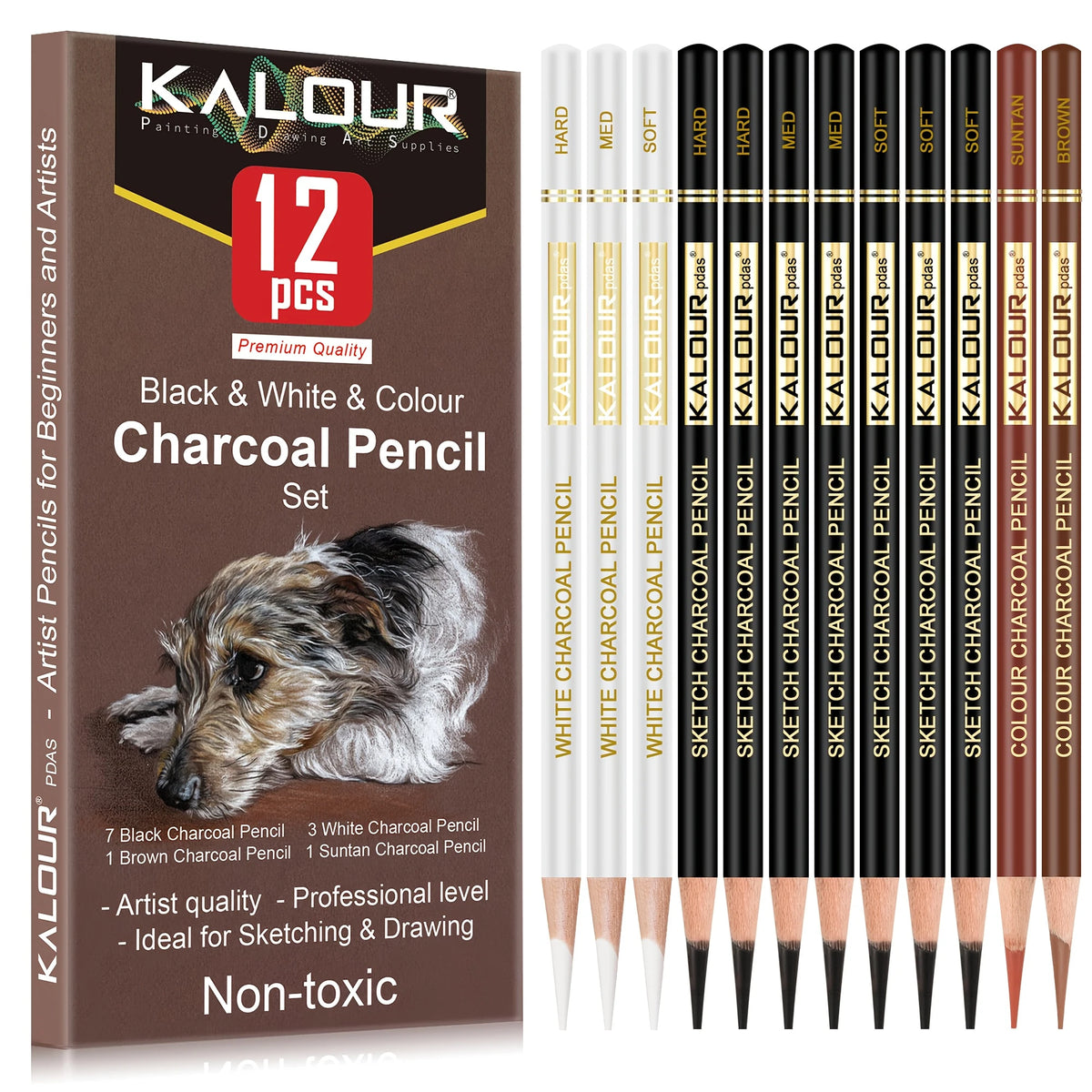 Kit de dessin et de croquis, crayons et accessoires, de 12 à 70 pièces